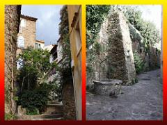 183 D25 BORMES LES MIMOSAS 3_000034